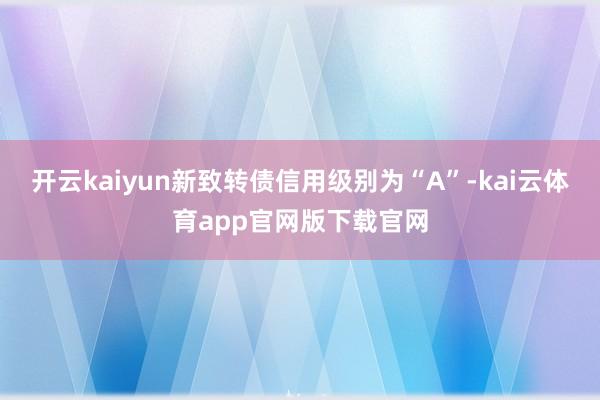 开云kaiyun新致转债信用级别为“A”-kai云体育app官网版下载官网
