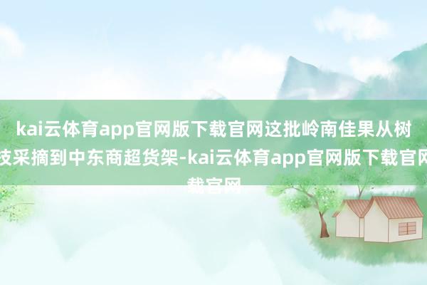 kai云体育app官网版下载官网这批岭南佳果从树枝采摘到中东商超货架-kai云体育app官网版下载官网