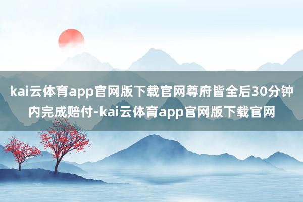 kai云体育app官网版下载官网尊府皆全后30分钟内完成赔付-kai云体育app官网版下载官网