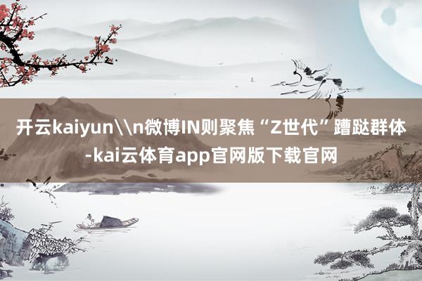 开云kaiyun\n微博IN则聚焦“Z世代”蹧跶群体-kai云体育app官网版下载官网