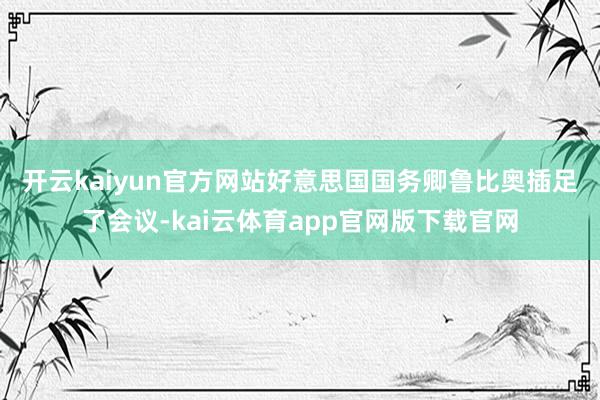 开云kaiyun官方网站　　好意思国国务卿鲁比奥插足了会议-kai云体育app官网版下载官网